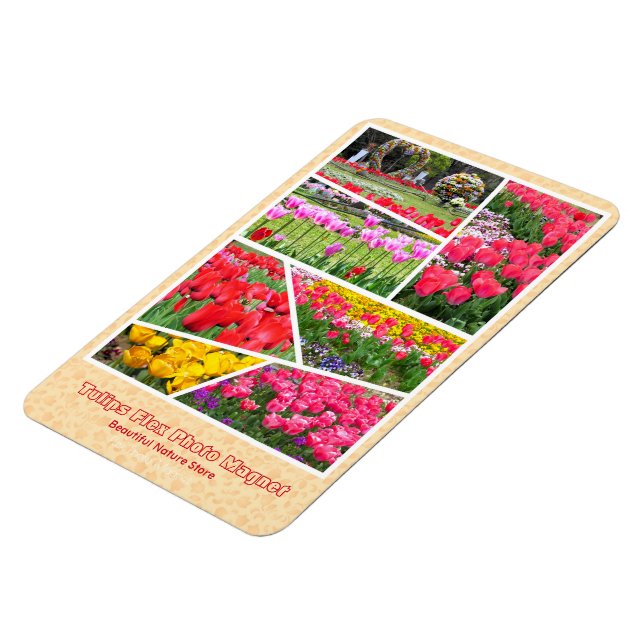 Imán Tulipán [Flex Photo Magnet] (Lado Izquierdo)