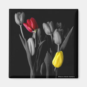 Imán Tulipán-Imán