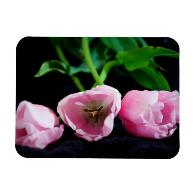 Imán Tulipanes 3273 (Horizontal)