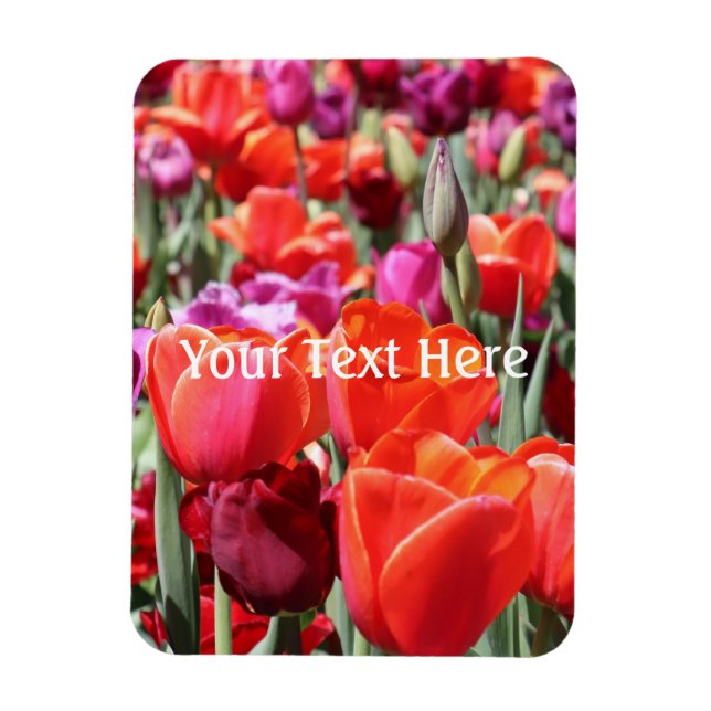 Imán Tulipanes cálidos de caída (Vertical)