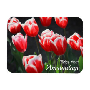 Imán Tulipanes de Amsterdam