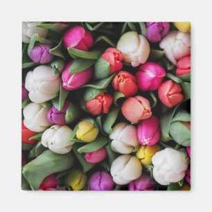 Imán Tulipanes de flores coloridas Primavera de Pascua