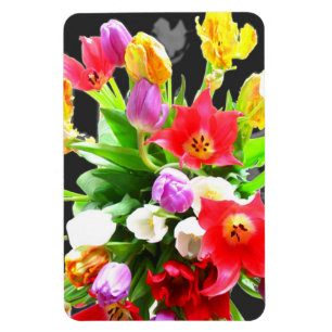 Imán Tulipanes de flores de primavera
