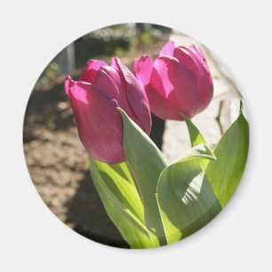 Imán Tulipanes de la madre