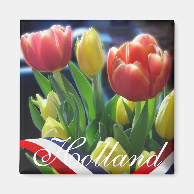 Imán Tulipanes Holandeses Rojo Amarillo Neerlandés Frid (Frente)