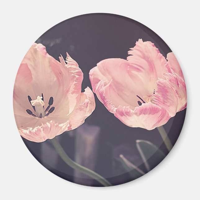 Imán Tulipanes Lindos en Flor - Personalizado (Frente)