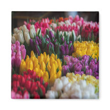 Tulipanes Multicolores