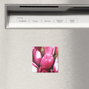 Imán Tulipanes rosados