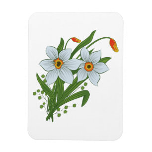Imán Tulipanes y flores de narcisos