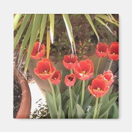 Imán Tulips Magnet