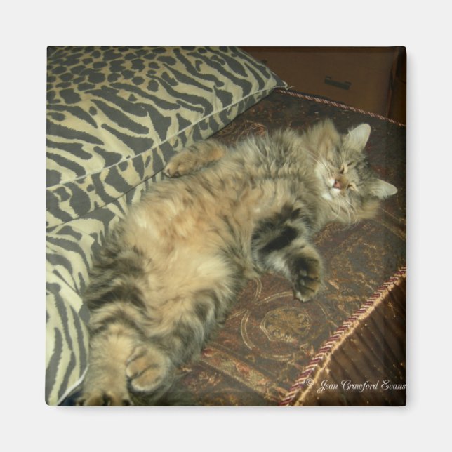 Imán Tum Tum Tum tummy (Frente)