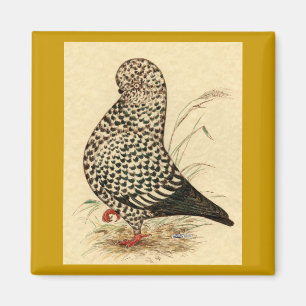Imán Tumbler Pigeon LFCL Splash