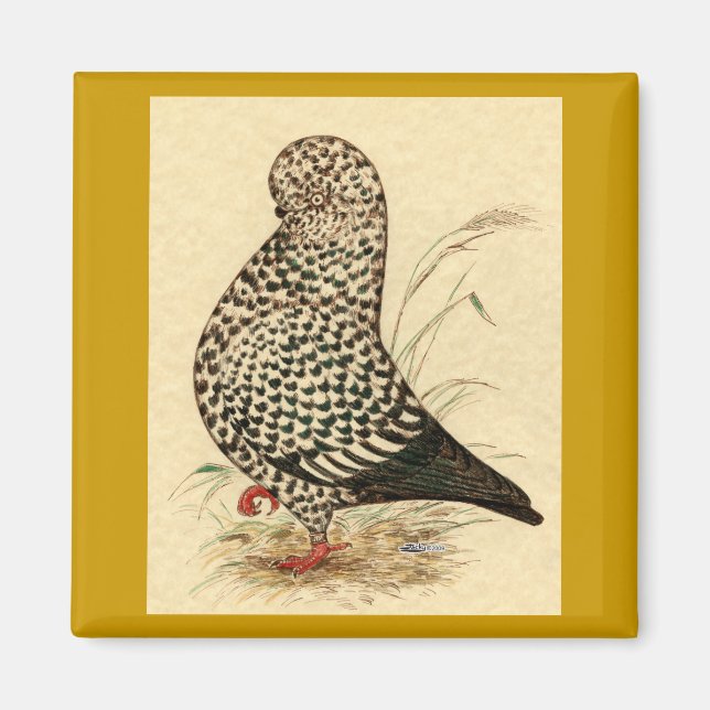 Imán Tumbler Pigeon LFCL Splash (Frente)