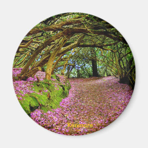 Imán Túnel de hadas, Kenmare