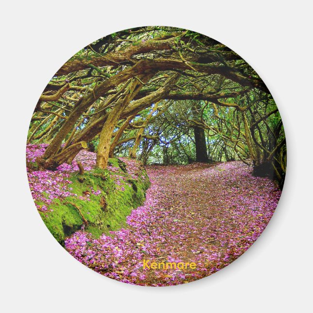 Imán Túnel de hadas, Kenmare (Frente)