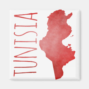 Imán Túnez