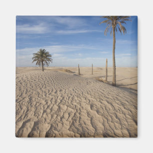 Imán Túnez, desierto del Sahara, Douz, Gran Duna, amane