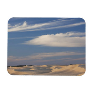 Imán Túnez, desierto del Sahara, Douz, Gran Duna, ocas