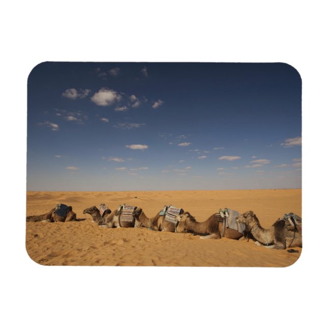 Imán Túnez, zona de Ksour, Ksar Ghilane, Gran Erg 2 (Horizontal)