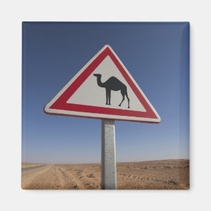 Imán Túnez, zona de Ksour, Ksar Ghilane, Gran Erg 6