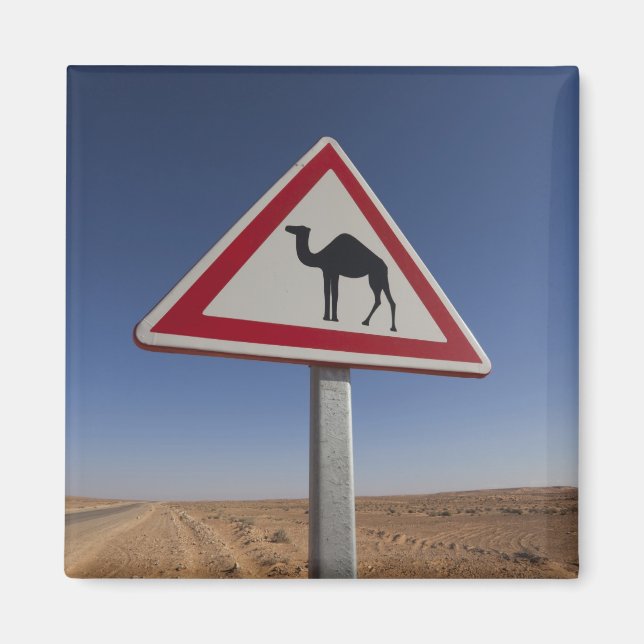 Imán Túnez, zona de Ksour, Ksar Ghilane, Gran Erg 6 (Frente)