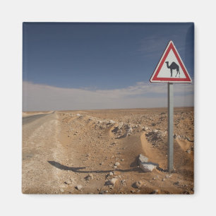 Imán Túnez, zona de Ksour, Ksar Ghilane, oleoducto