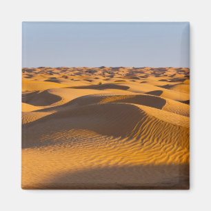 Imán Túnez, zona Ksour, Ksar Ghilane, Gran Erg 4