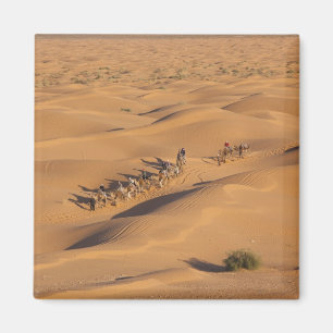 Imán Túnez, zona Ksour, Ksar Ghilane, Gran Erg 4