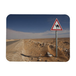 Imán Túnez, zona Ksour, Ksar Ghilane, oleoducto