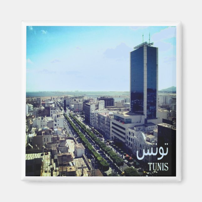 Imán TUNIS, Túnez, África, Fridge (Frente)