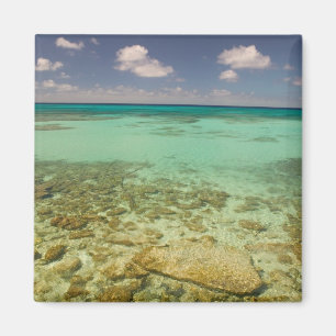 Imán Turcas y Caicos, Isla Gran Turca, Cockburn 2
