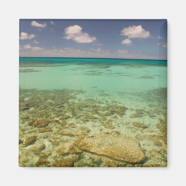Imán Turcas y Caicos, Isla Gran Turca, Cockburn 2 (Frente)