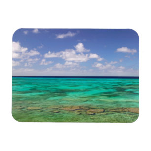 Imán Turcas y Caicos, Isla Gran Turca, Cockburn 3