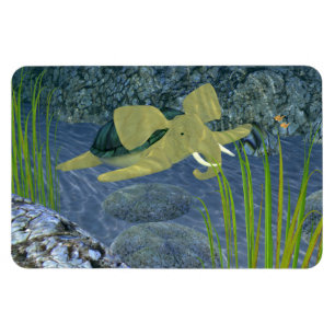 Imán Turfano De Natación