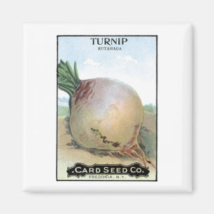 Imán Turnip, Card Seed Company