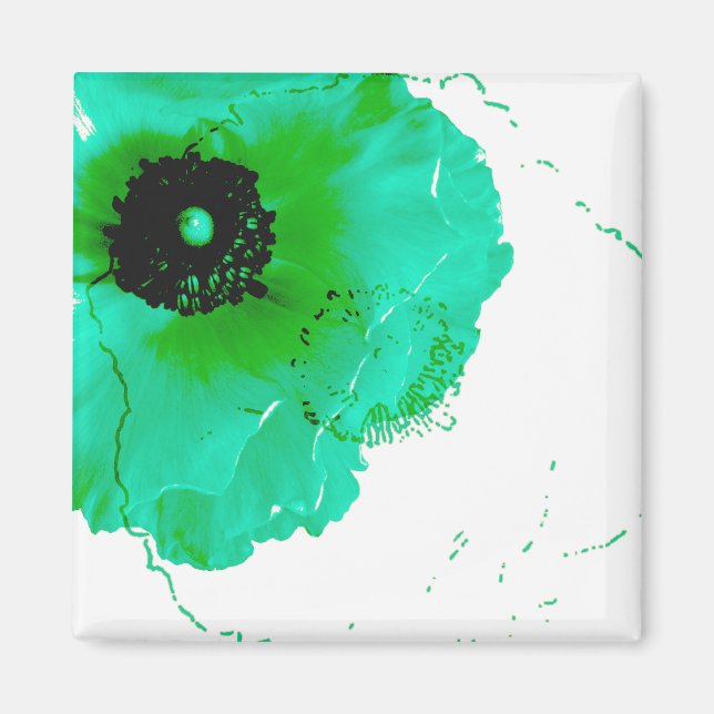 Imán turquesa vibrante y ranunculus blanco (Frente)