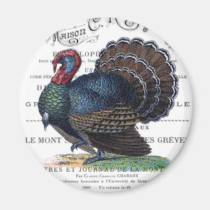 Imán Turquía vintage moderna