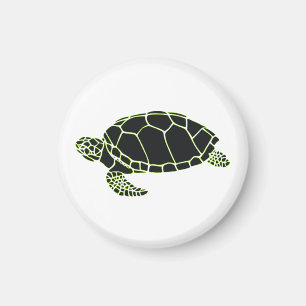 Imán Turtle