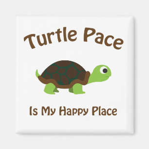 Imán Turtle Pace
