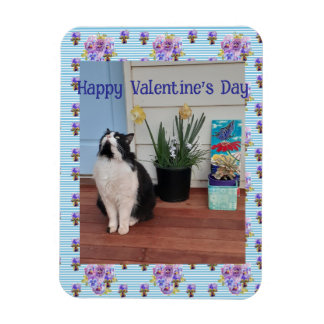 Imán Tuxedo Cat Funny Cute Cats Valentines Day Blue