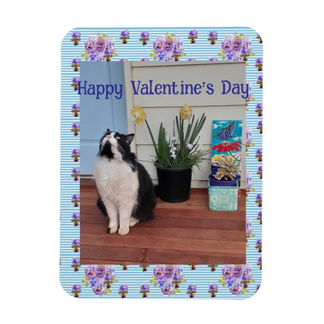 Imán Tuxedo Cat Funny Cute Cats Valentines Day Blue (Vertical)