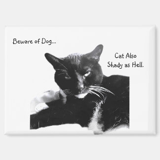 Imán Tuxedo Cat with Shady Smile 