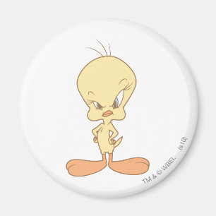 Imán Tweety Angry