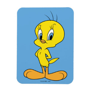 Imán TWEETY™  Ave inteligente