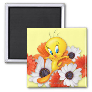 Imán Tweety with Daisises