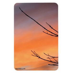 Imán Twigs con Naranja, rojo, morado atardecer