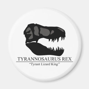 Imán Tyrannosaurus Rex Skull