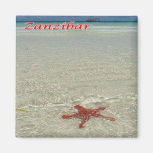Imán TZ - Tanzania - Zanzíbar - Starfish Red Knobbed