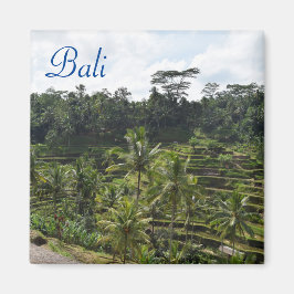 Imán Ubud Bali