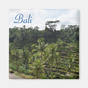 Imán Ubud Bali